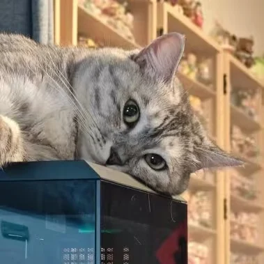 Goou_Zi 头像